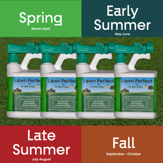 Green Day Lawn Care Plan