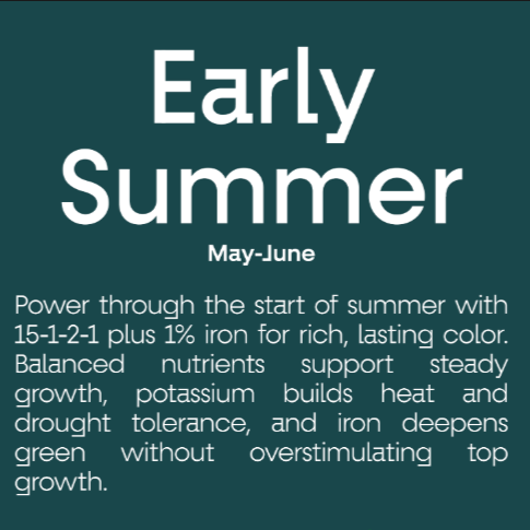 Lawn Perfect - Early Summer Formula