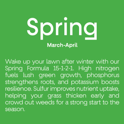 Lawn Perfect - Spring Formula
